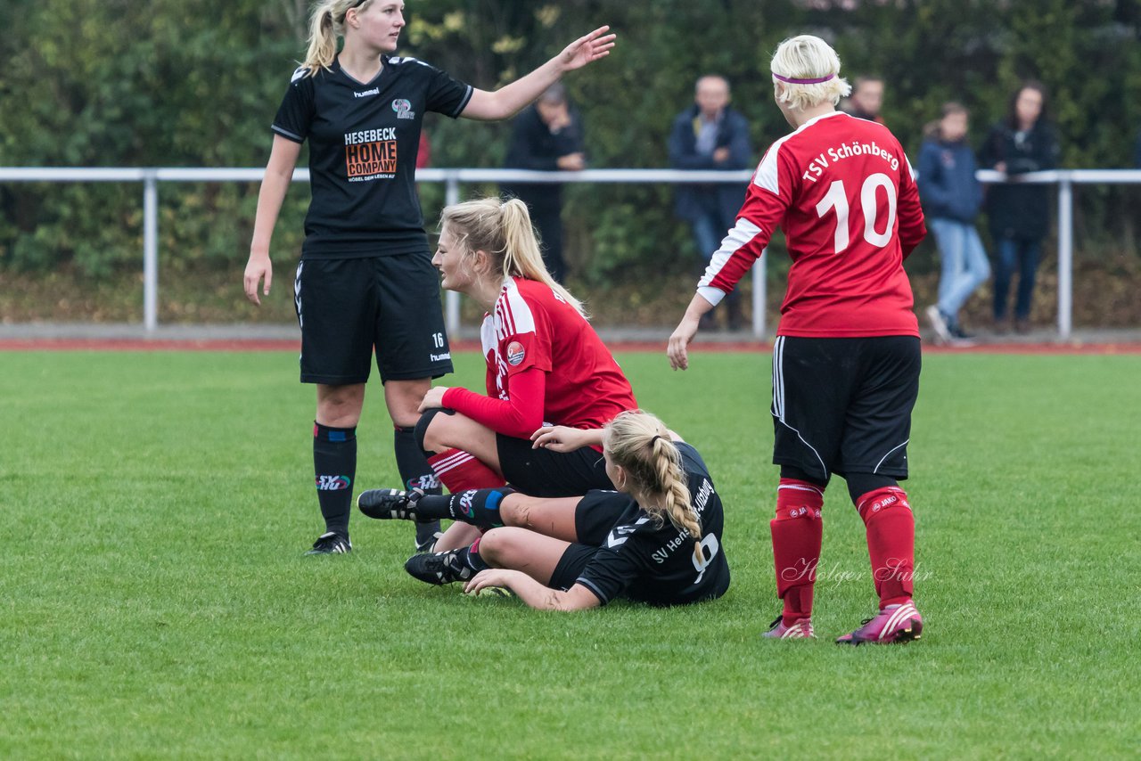 Bild 302 - Frauen TSV Schnberg - SV Henstedt Ulzburg 2 : Ergebnis: 2:6